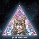 Lil Bub - Science & Magic